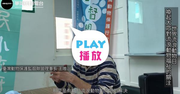 世界流浪動物日喚起大眾對流浪動物福祉的關注 Peopo 公民新聞 世界流浪動物日喚起大眾對流浪動物福祉的關注 Peopo 公民新聞