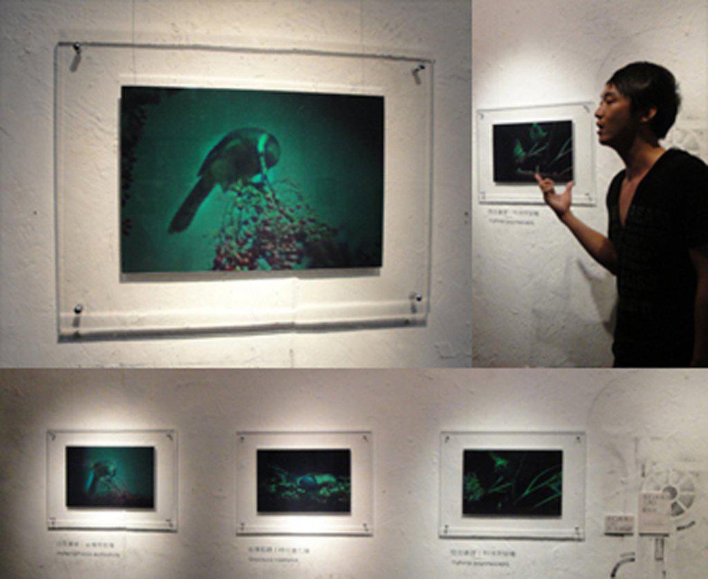 全像攝影全國唯一實驗室在崑山科大 Peopo 公民新聞