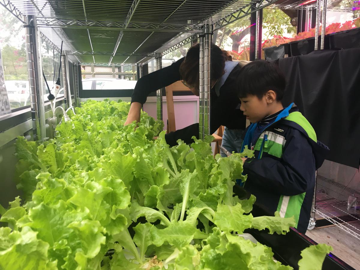 食農教育 全台唯一移動式 有機質水耕貨櫃溫室 在嘉大附小 peopo 公民新聞