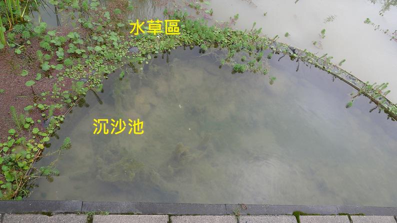 台大侯文祥老師分享瑠公圳水質改善 peopo 公民新聞