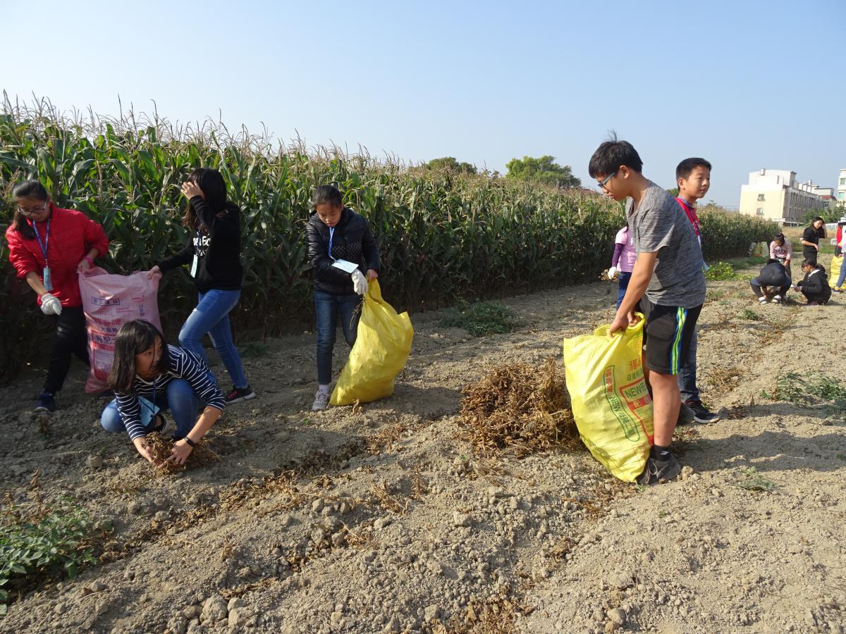 體驗 貨出去錢進來 90名家扶少年挽袖下田不怕苦發想百萬黑豆變黃金行銷術獲青農話讚 Peopo 公民新聞