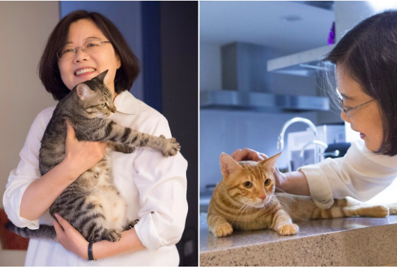 蔡英文回應 野保議題 五大訴求信函 Peopo 公民新聞