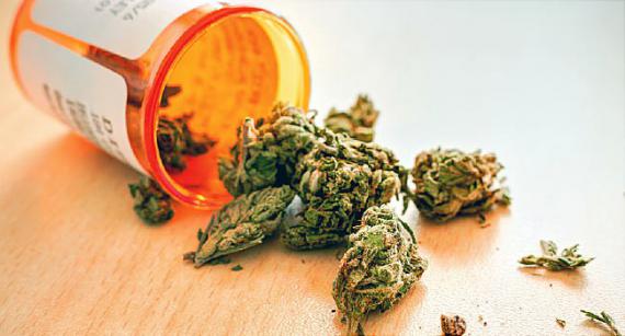 大麻跟台灣到底 合 不合 Peopo 公民新聞
