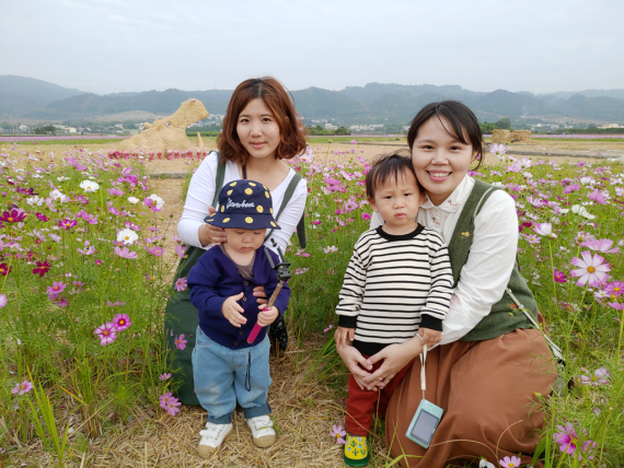 田中望高寮波斯菊花海盛開景緻美不勝收 Peopo 公民新聞
