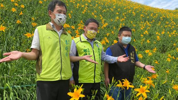 花壇鄉虎山巖金針花盛開邱建富偕同議員民代賞花趣 Peopo 公民新聞 花壇鄉虎山巖金針花盛開邱建富偕同議員民代賞花趣 Peopo 公民新聞