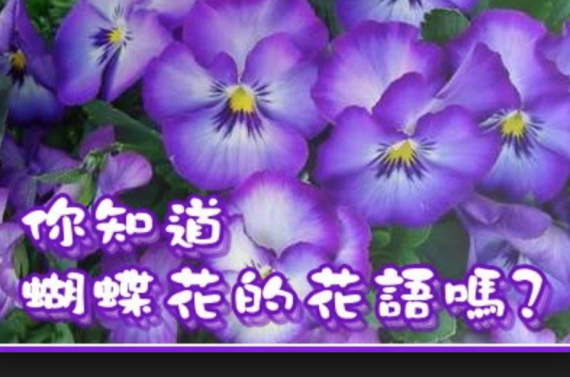 peopo 公民新聞