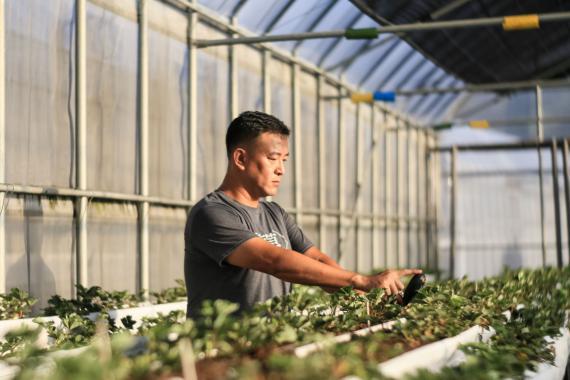林口青農純土有機農場找回美味記憶的路上與純粹天然相遇 Peopo 公民新聞