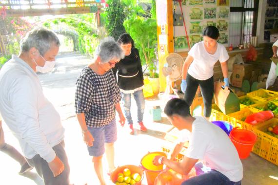 橘子紅了 劍門生態花果園農場果香洋溢正此時 Peopo 公民新聞