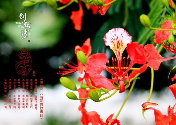 24節氣篆刻藝術與地方之美 夏至 Peopo 公民新聞