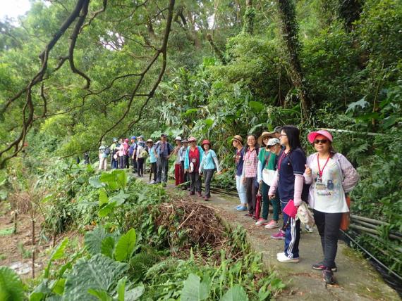 頂湖十八拐圳步道 Peopo 公民新聞
