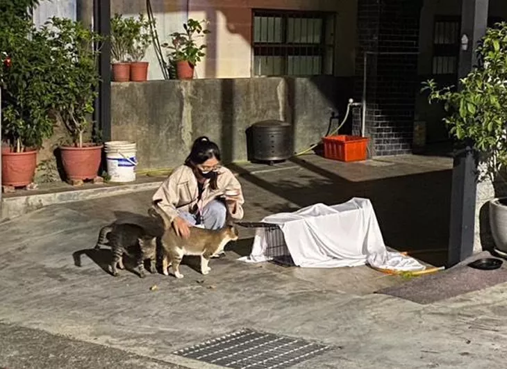 屏幕截图 2024-12-30 055725