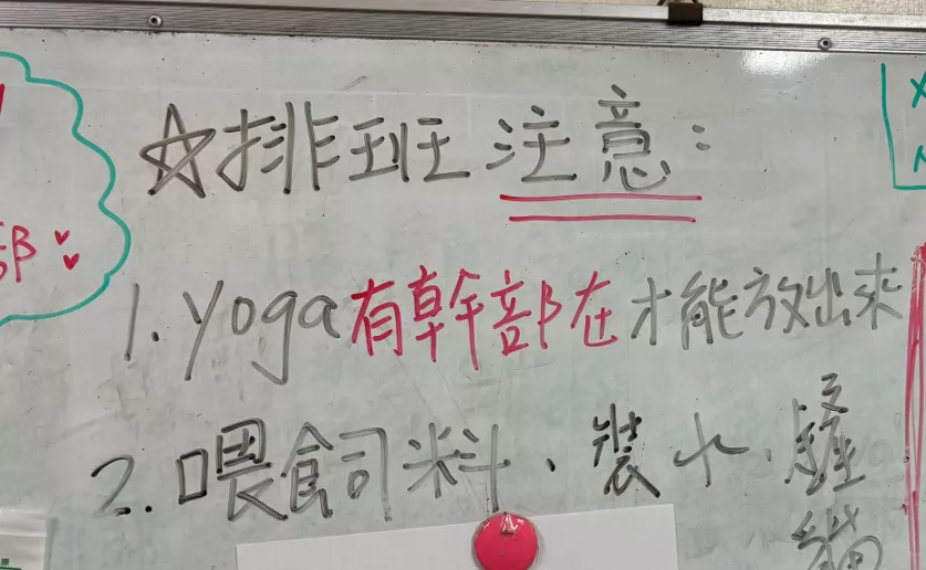 屏幕截图 2024-12-30 055801