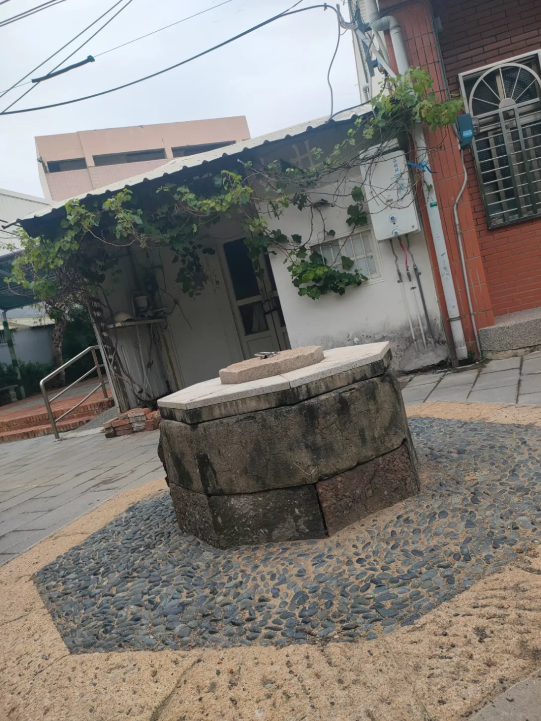 MEITU_20241228_004342766