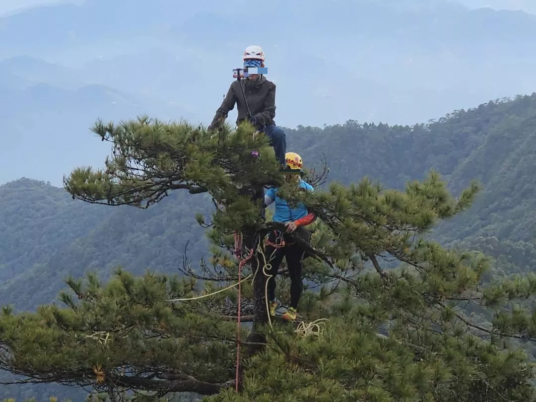山訓教練在鳶嘴山爬樹A20241228登山靠北大小事