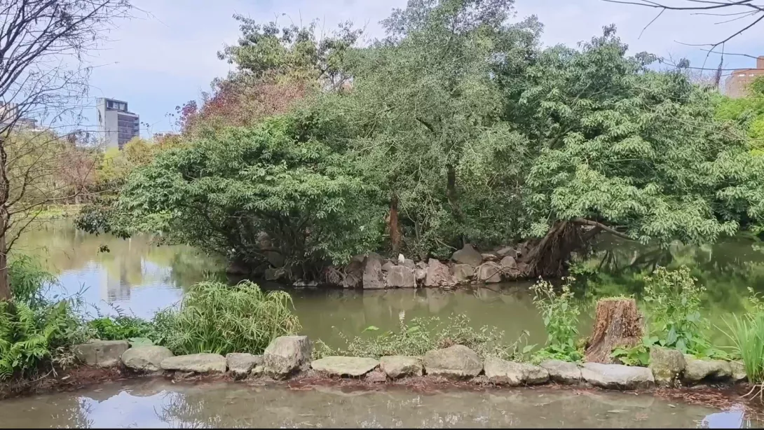 公園5
