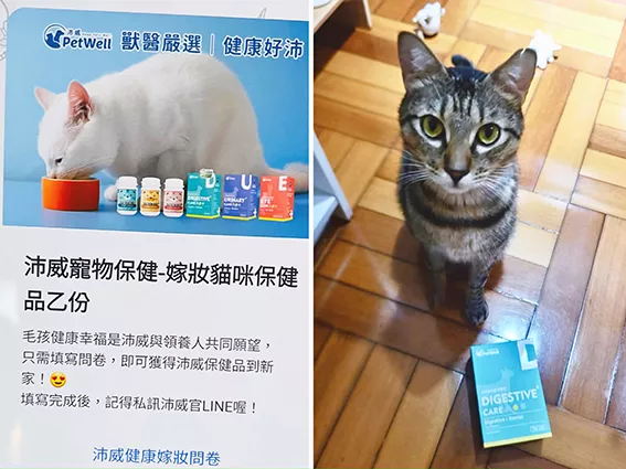 福寶