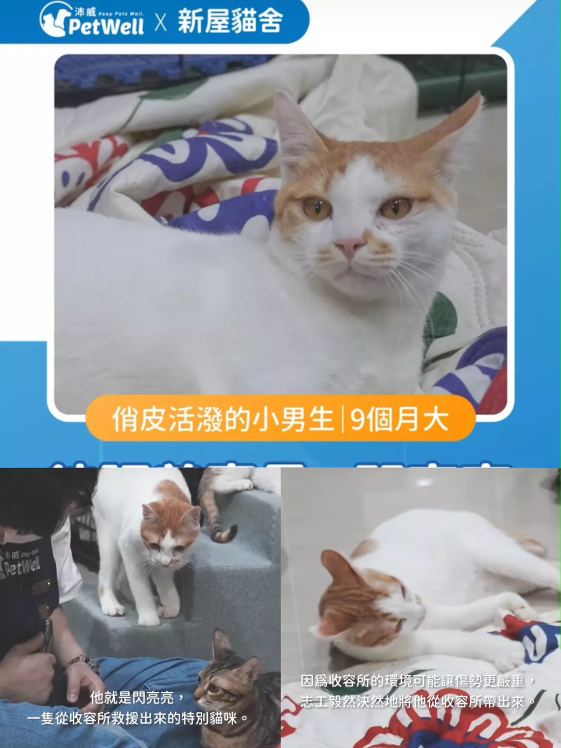 閃亮亮