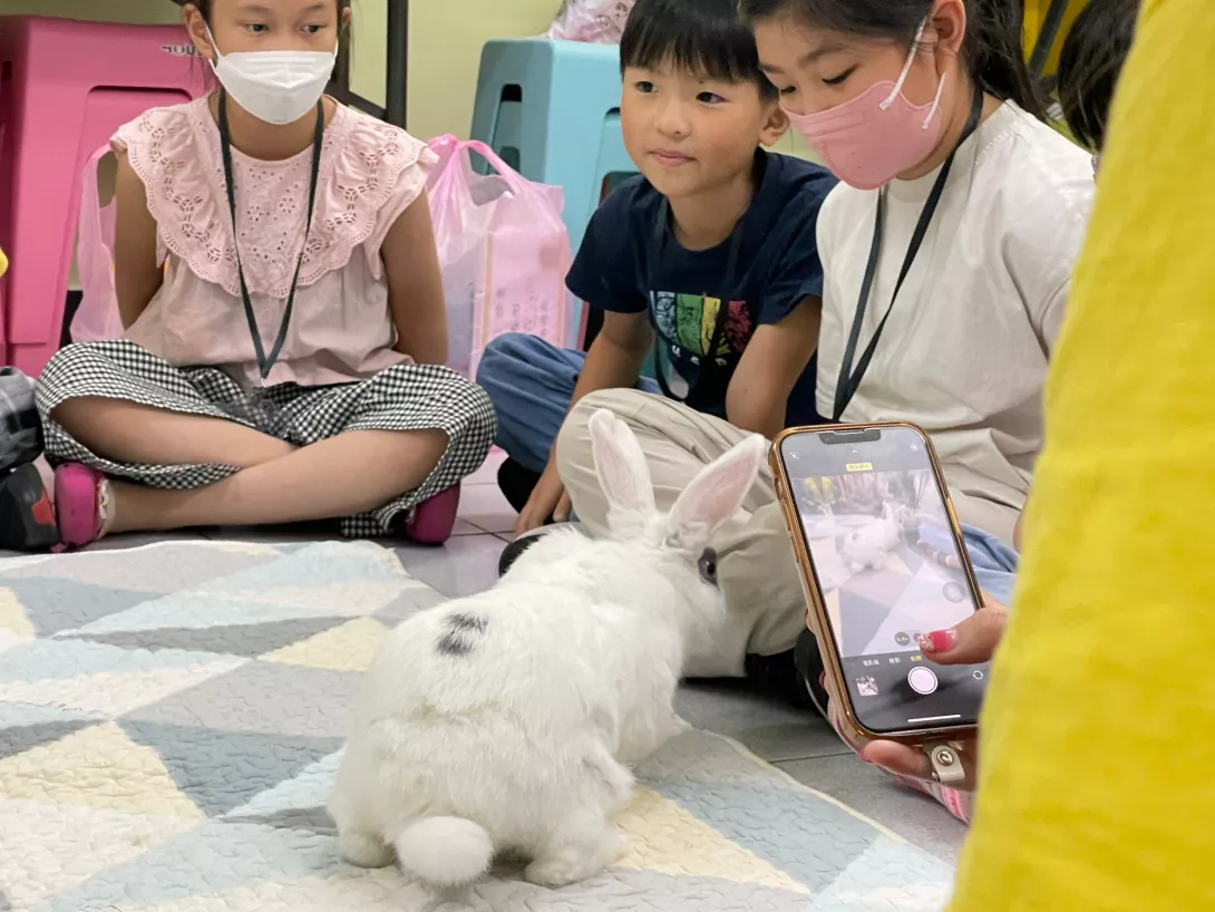 LINE_ALBUM_20240816兔子姐姐-築苗_240818_23