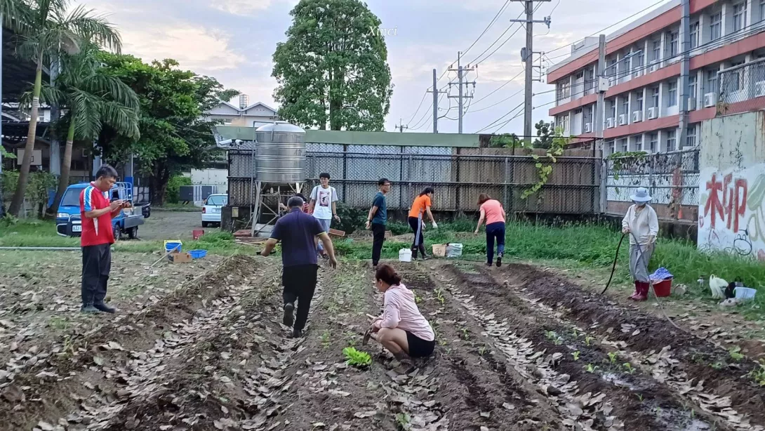 LINE_ALBUM_20241026城市農夫種植除草澆水_241118_2