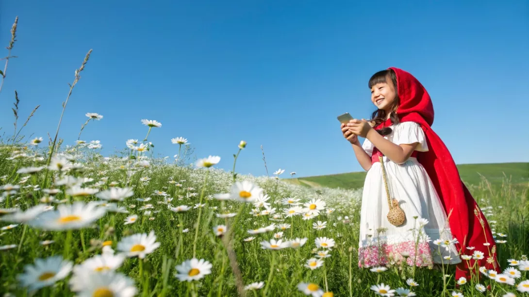 blue-sky-and-green-land--white-daisies-blooming-al