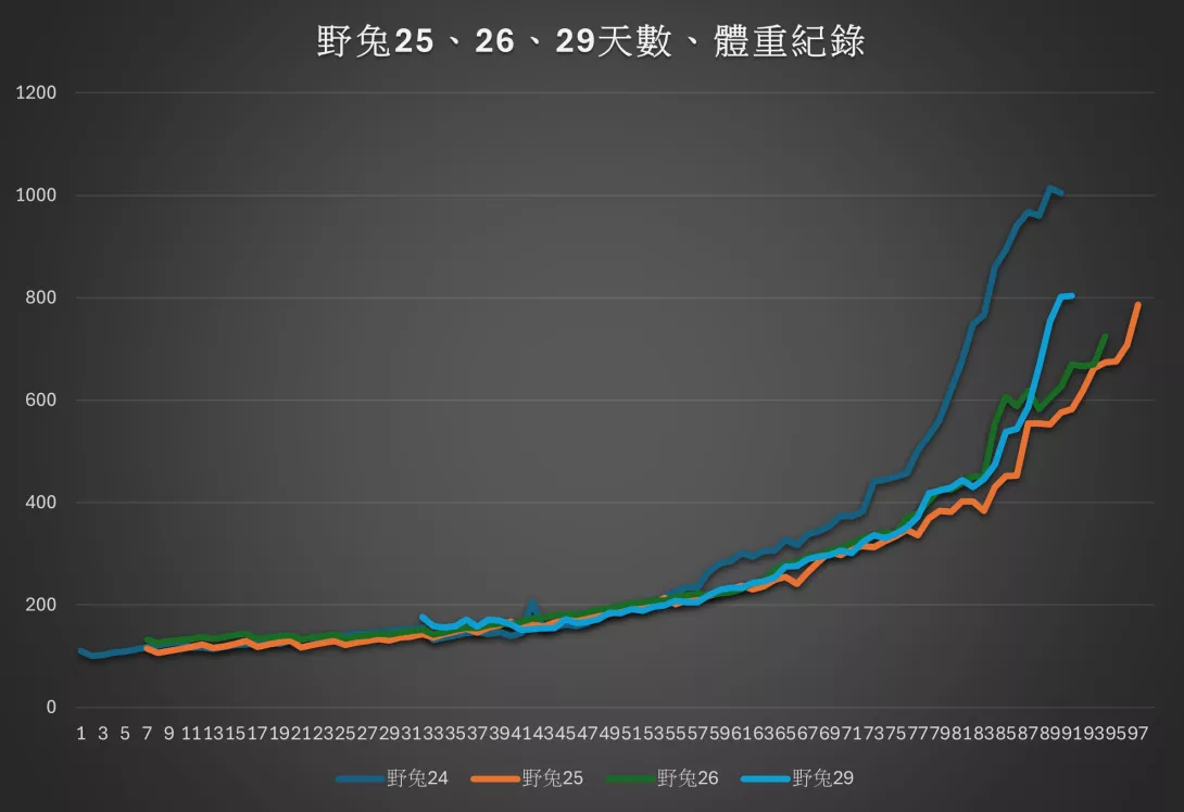 圖片1
