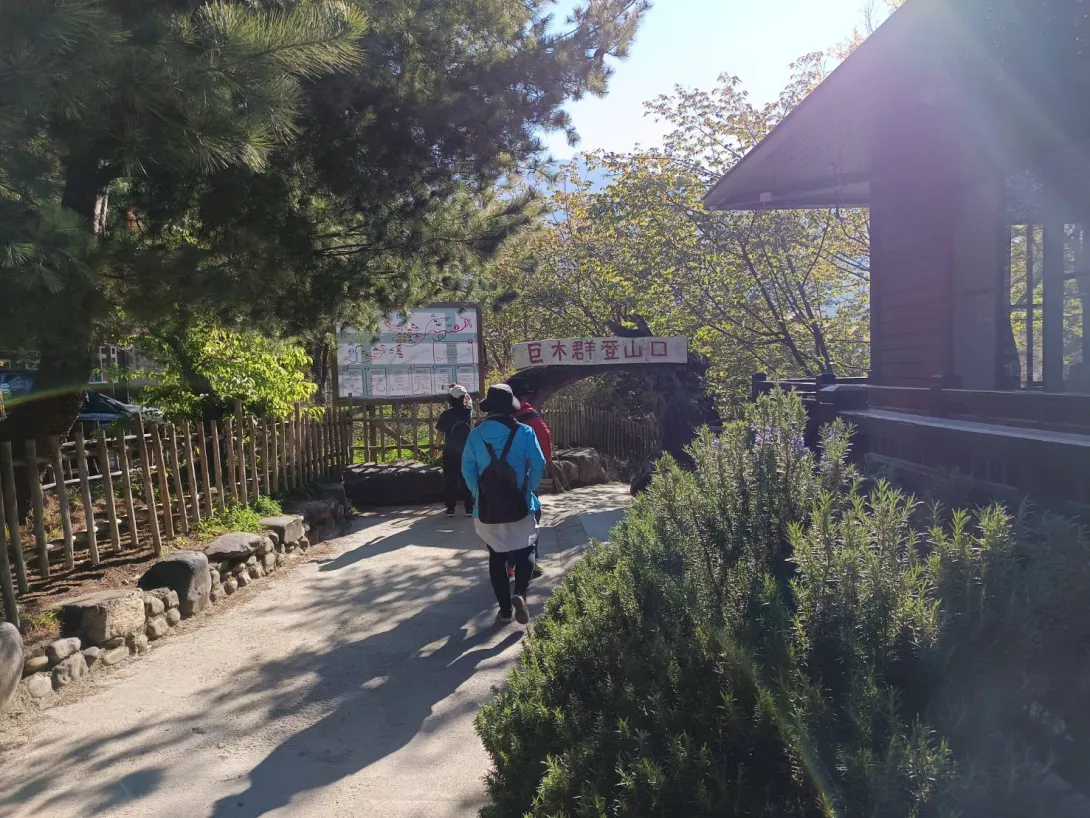 巨木群登山口