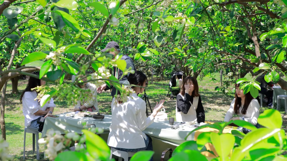 第119則-柚花飄香下的茶席饗宴-01低