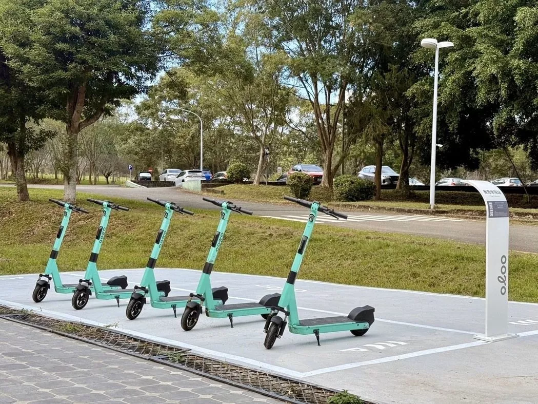 174251959291886_P31693465