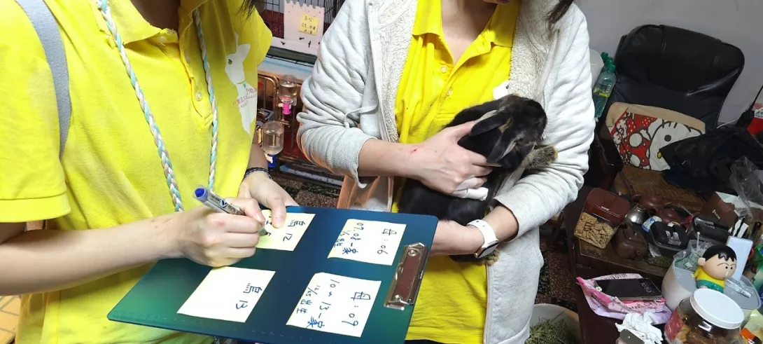 LINE_ALBUM_20150313新烏路十八兔_250313_6