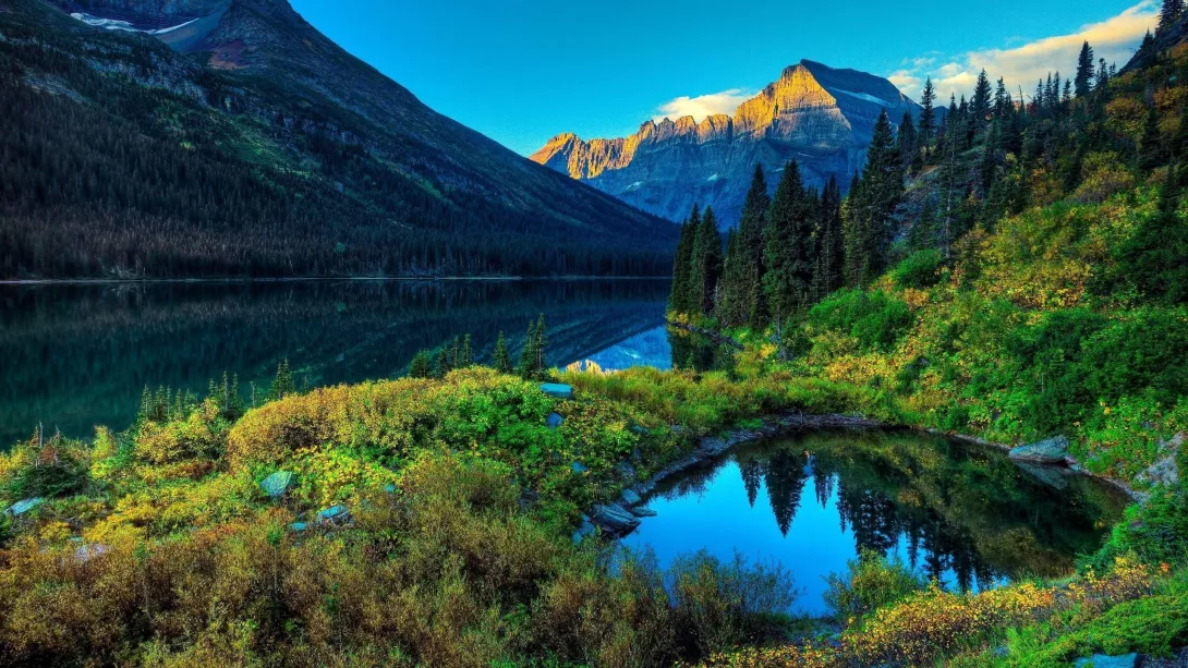 nature