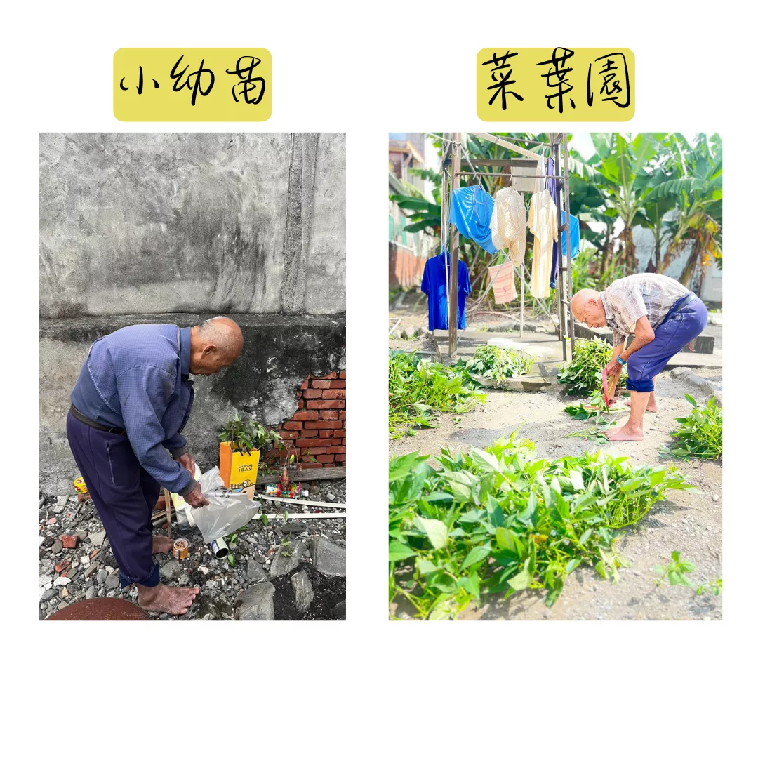 新增副標題
