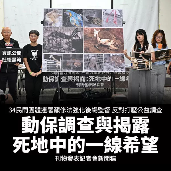 新聞稿6