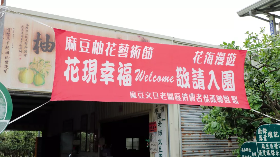 第120則-老農夫的文旦園2-文稿02-N3