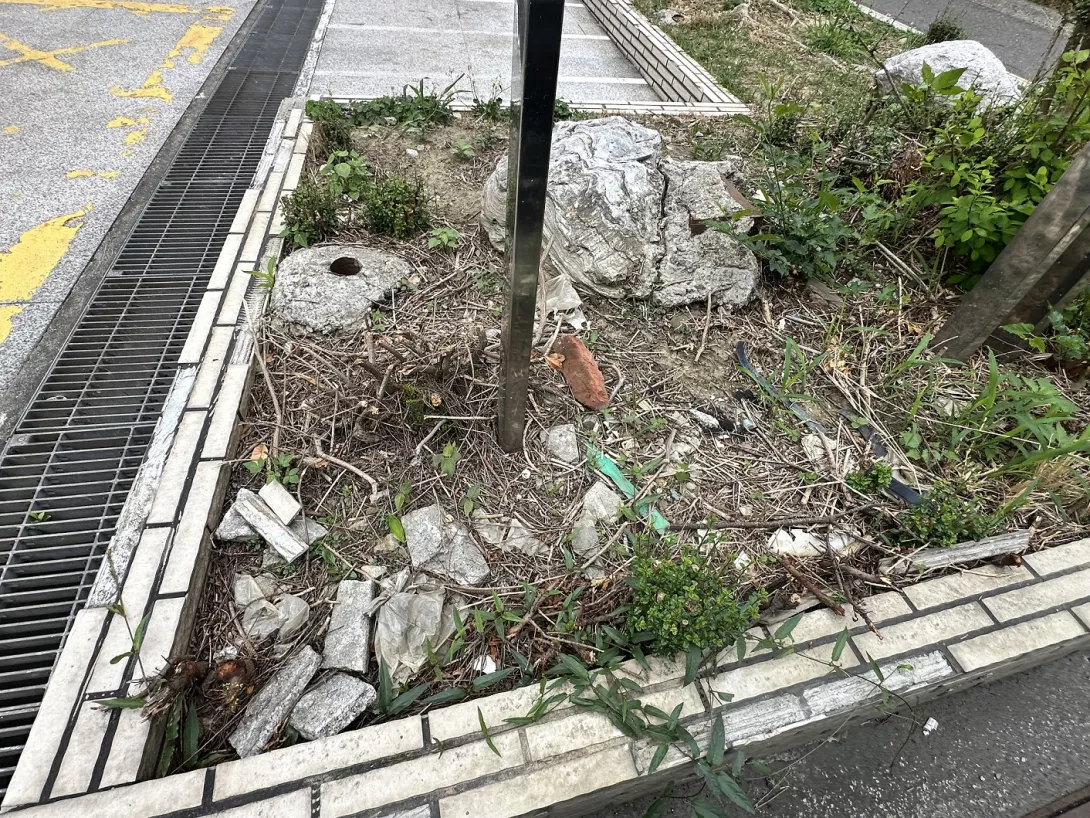 20250419中華電信民雄服務中心磁磚脫落砍樹 (12)2