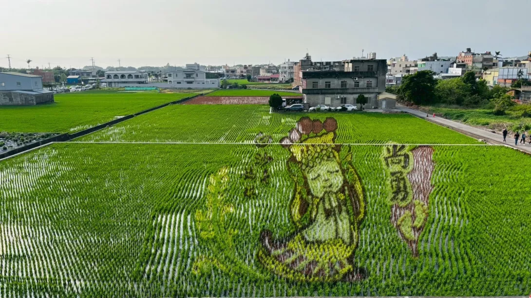 苗栗苑裡文化觀光盛事「天后派對&天后駕稻」在苑裡愛情果園熱鬧登場。圖/苑裡鎮農會