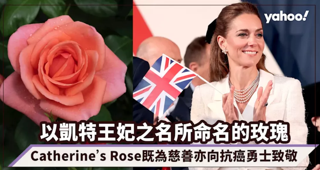 公益