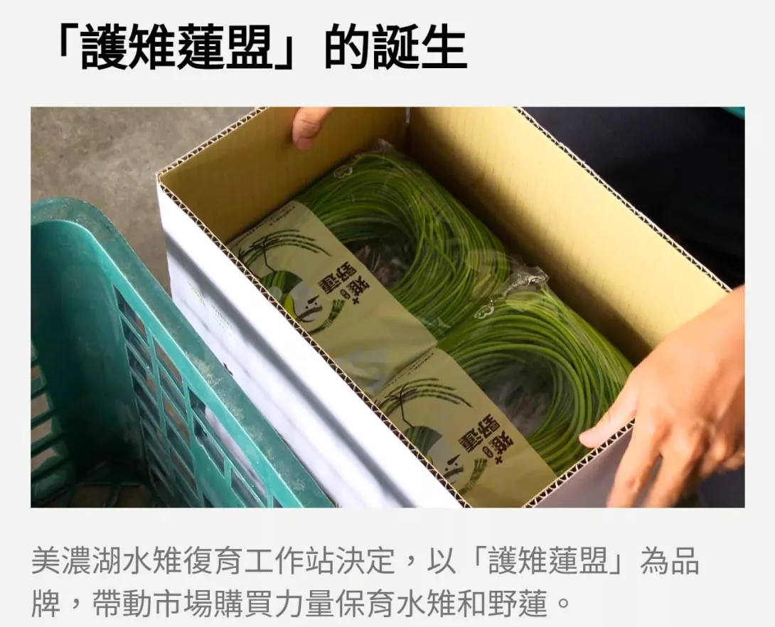 護稚