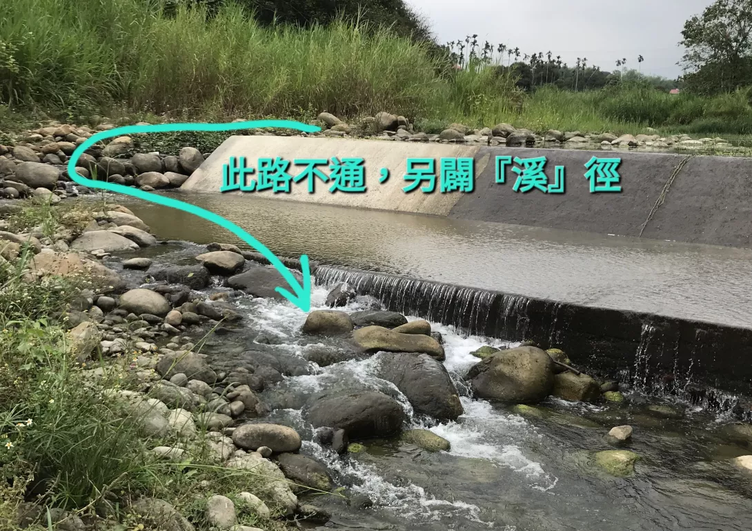 雖然溪流被大型取水堰給擋住,但大自然的力量讓溪流得以另闢『溪』徑!