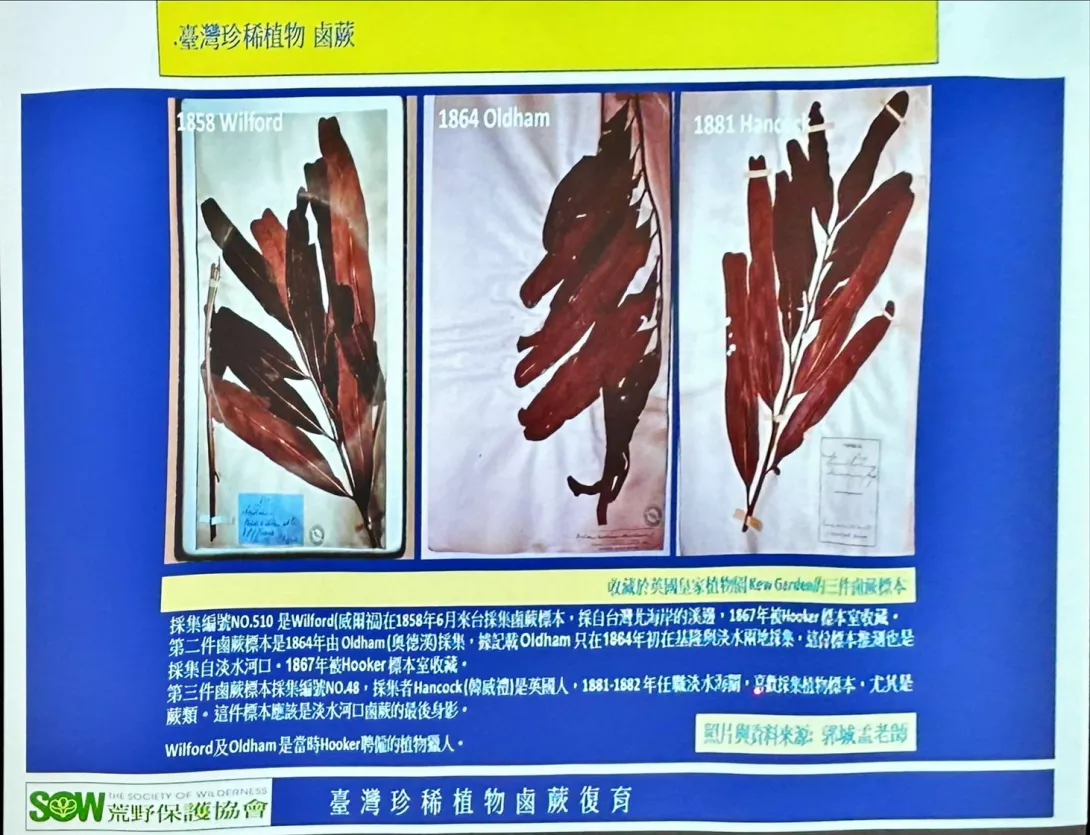 S__1949840