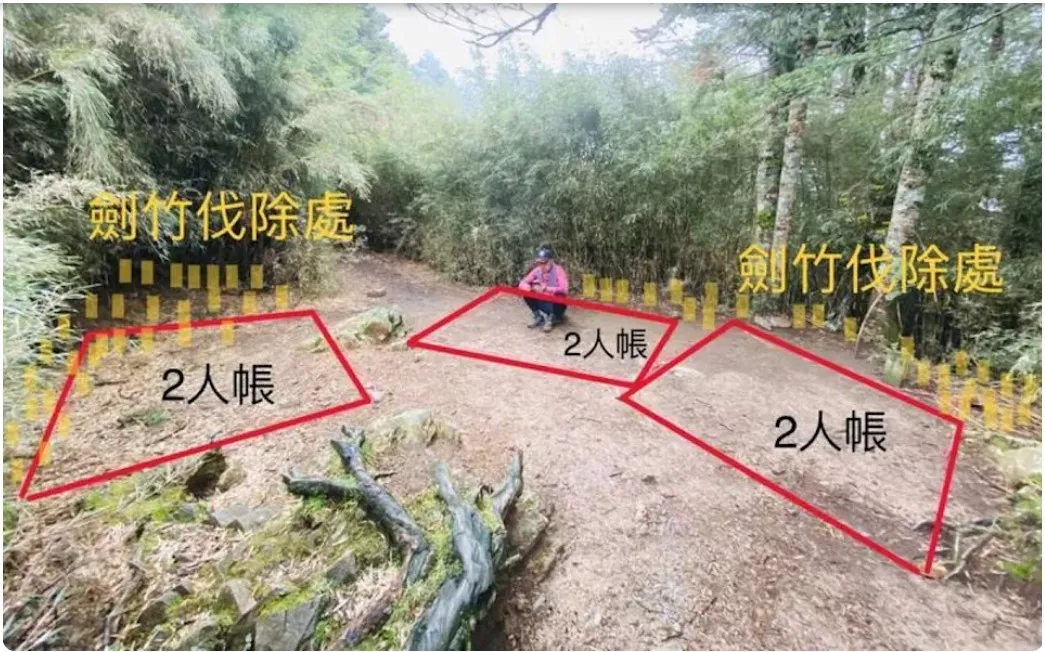 四秀三叉營地帳篷數20250603