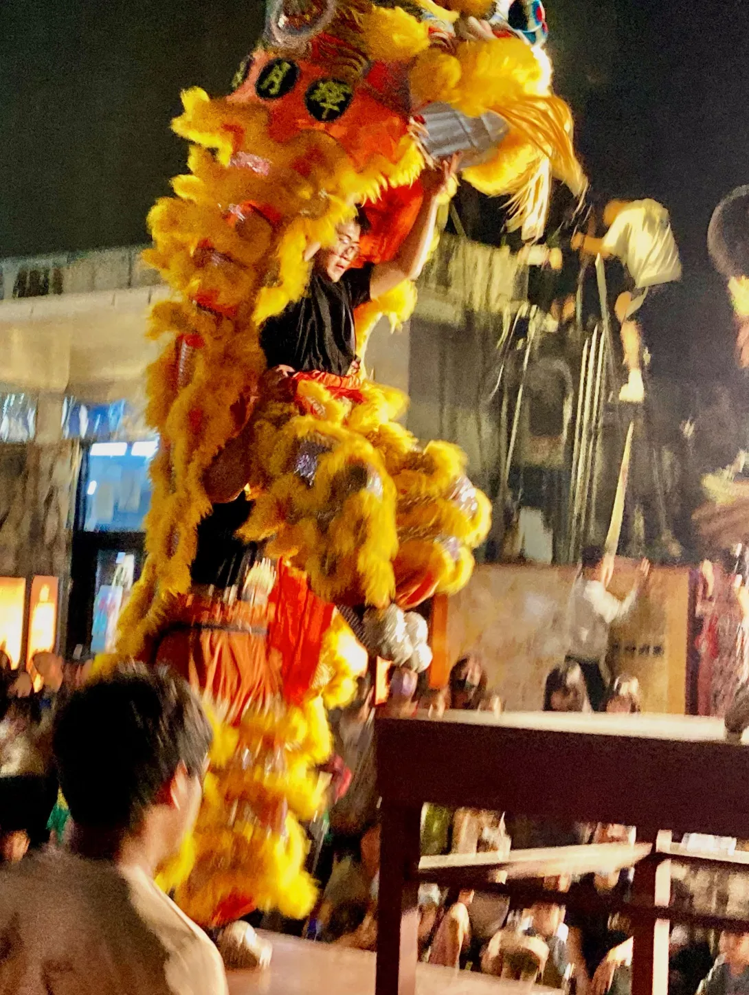 天震堂醒獅團3