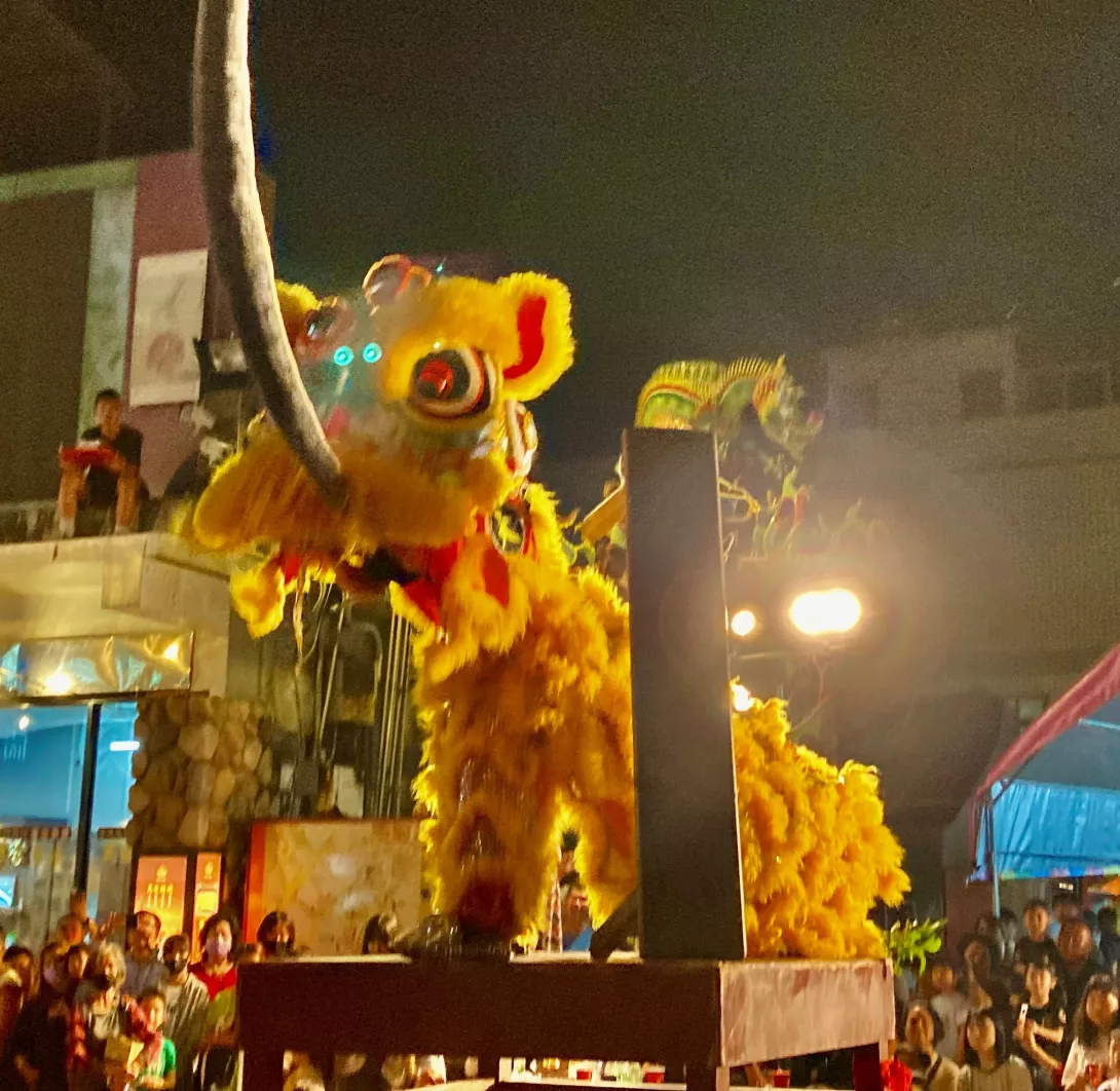 天震堂醒獅團4