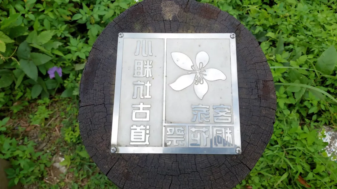 螢幕擷取畫面 2025-06-15 171211
