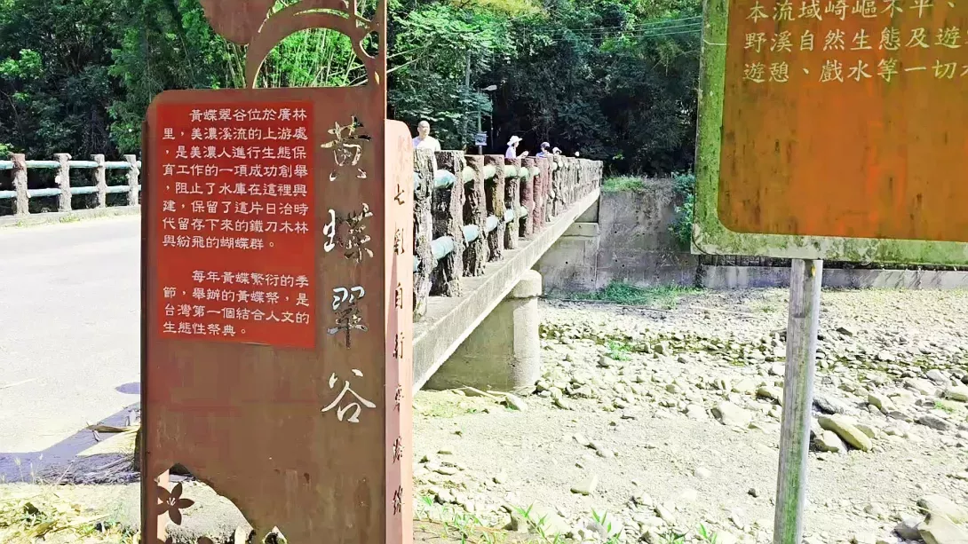 黃蝶