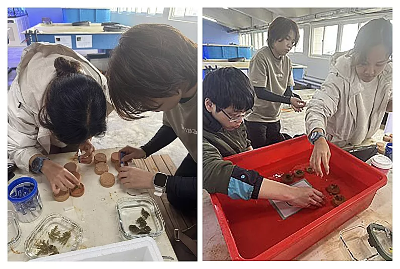 龍華科大攜手海洋大學USR創新珊瑚復育低碳技術 打造海洋永續新篇章-4