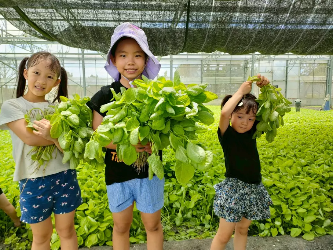 LINE_ALBUM_0614有朝一日_250614_9