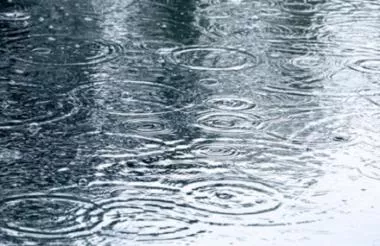 Rainy