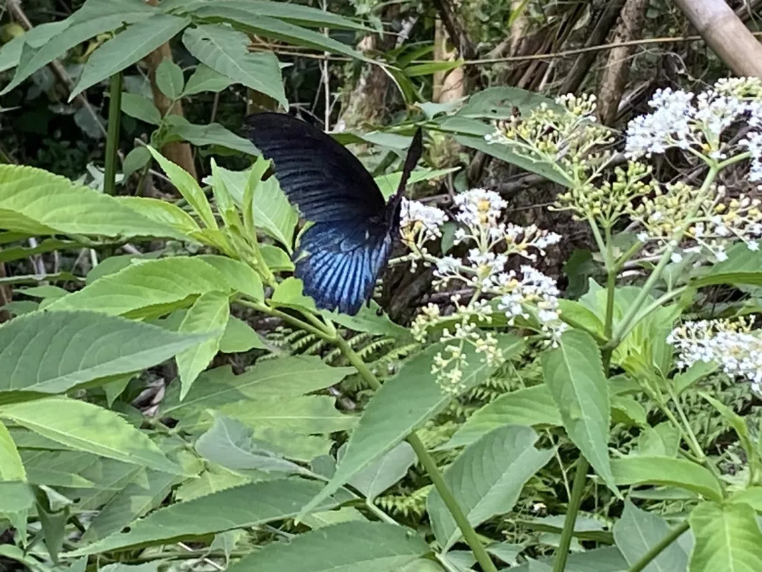 S__26484772