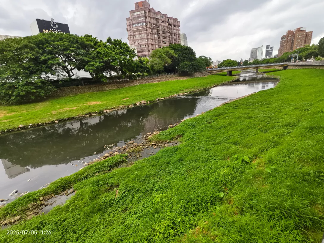 內頁