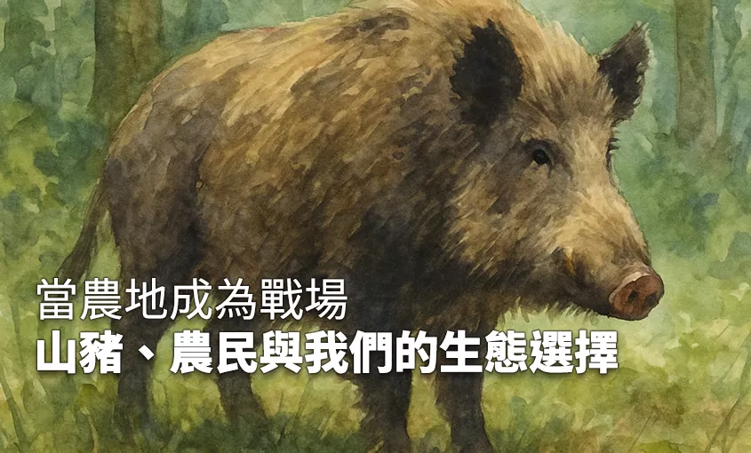 未命名-2